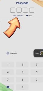 How to reset BHIM App Password