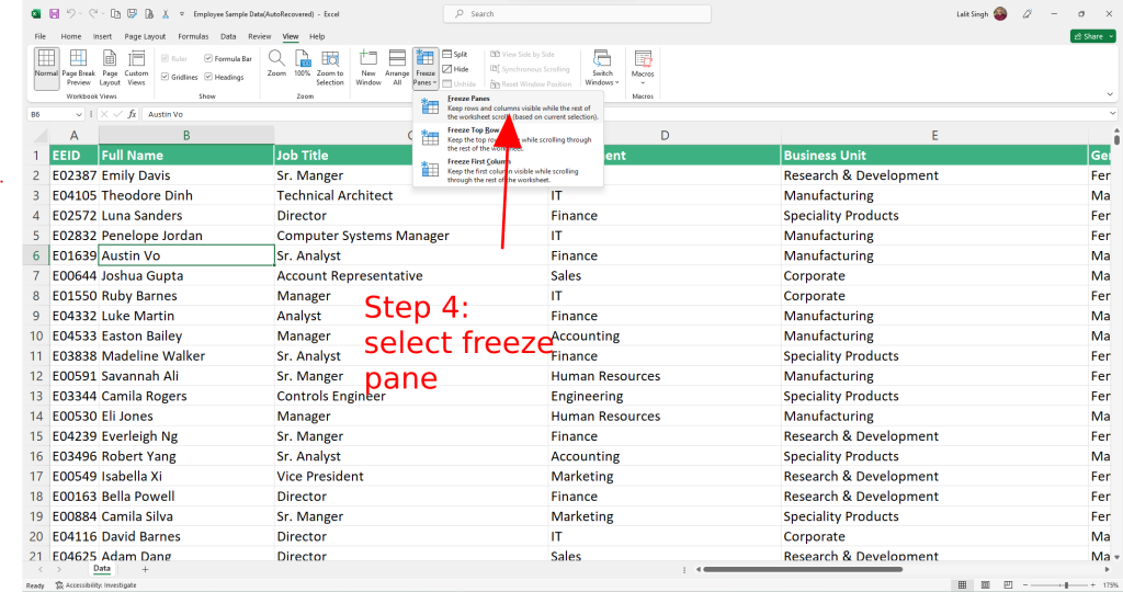 Freeze Pane Options in Excel