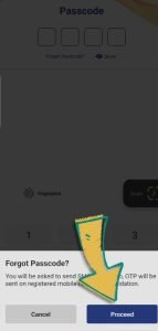 How to reset BHIM App Password