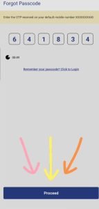 How to reset BHIM App Password